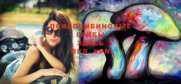 PSILOCYBIN Волоколамск