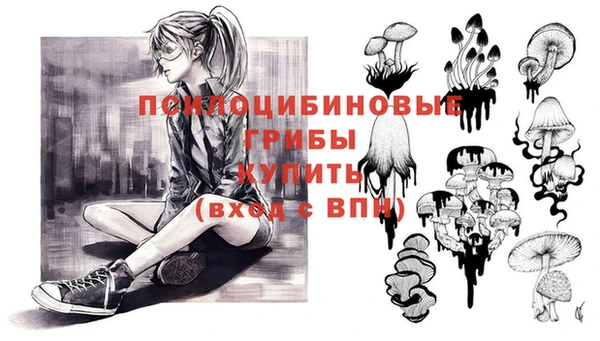 PSILOCYBIN Волоколамск
