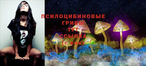 герыч Верея