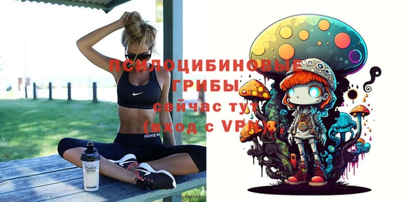 таблы Богородицк