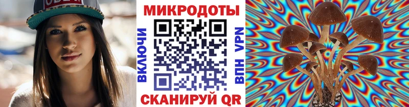 mega зеркало  Выборг  Псилоцибиновые грибы Psilocybine cubensis 